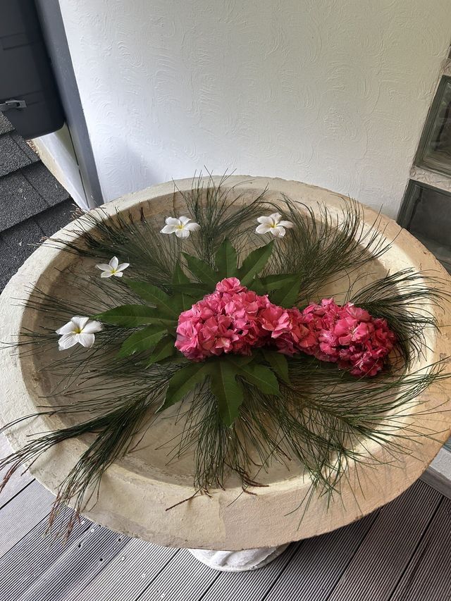 Wonderful Return to Kuredu Wonderful Return to Kuredu