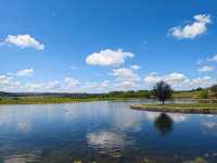 藍山腳下的秘密花園梅菲爾德絕美打卡攻略