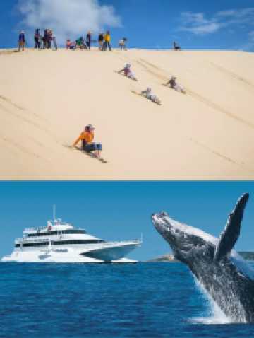 悉尼周邊13人小團盤點特惠一日遊