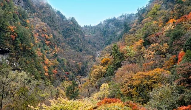 免費小眾景點平武白馬沿途風景--邂逅綠水藍天彩林雪山 免費小眾景點平武白馬沿途風景--邂逅綠水藍天彩林雪山