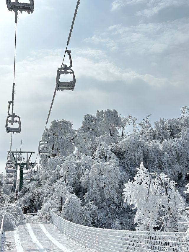 這裡不是阿凡達，是地球上的張家界！