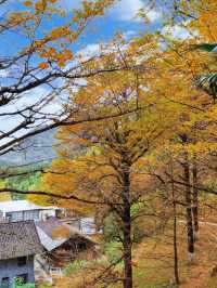 被時光遺忘的金色童話！錯過再等一年！