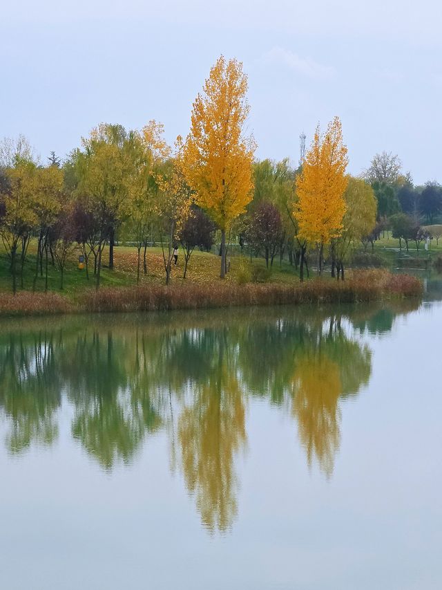 沣河梁家灘,最後的秋色 沣河梁家灘,最後的秋色