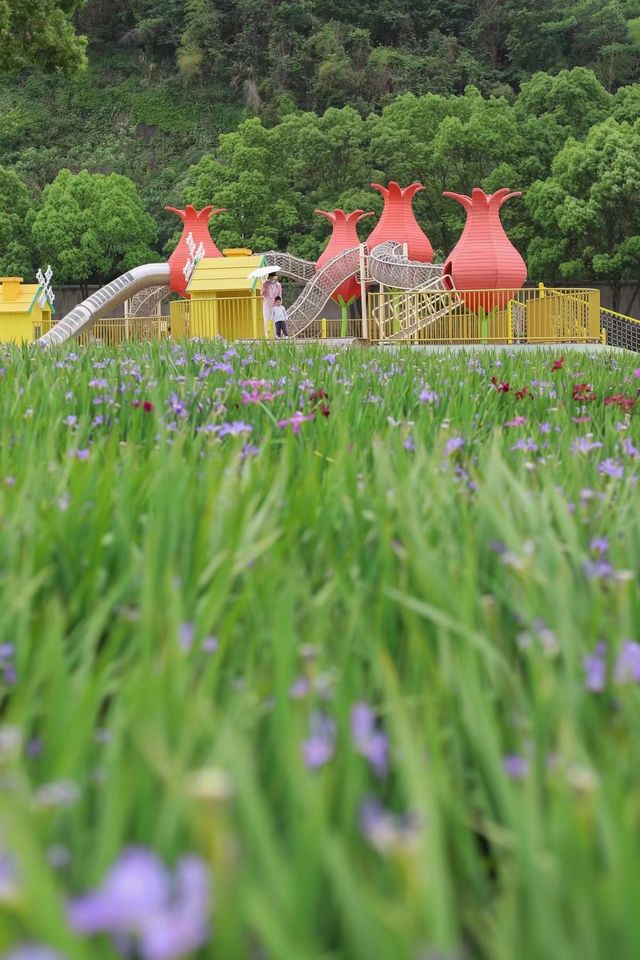 寧波人少景美的遛娃神地!!! 寧波人少景美的遛娃神地!!!