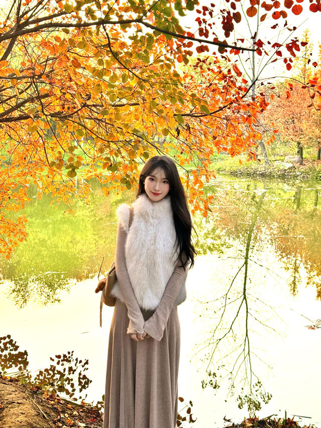 西安小眾賞秋秘境浐灞濕地公園銀杏打卡攻略