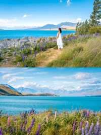 6天解鎖紐西蘭小團！人均1w+吃住行全包