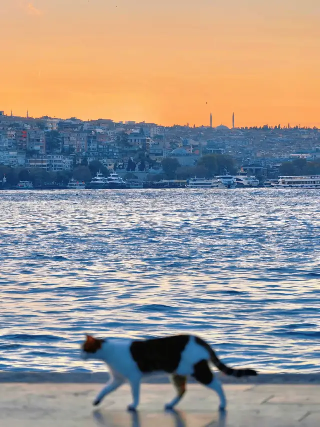 Istanbul Travel Checklist｜A Romantic Journey Across Europe and Asia