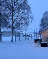 芬蘭冬日童話藍粉天空下的浪漫極光之夜