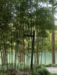 魔都隱蔽寶藏!西郊賓館免費參觀全攻略