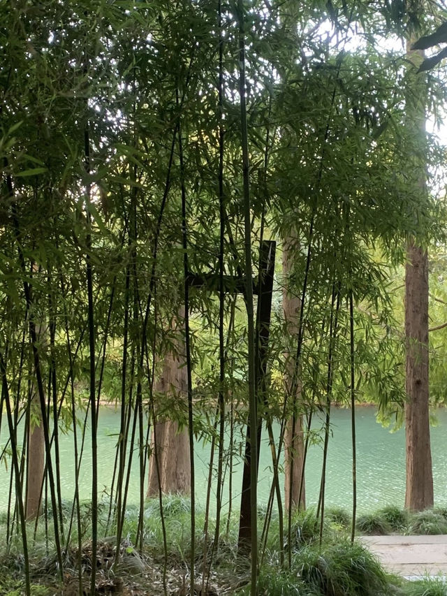 魔都隱蔽寶藏!西郊賓館免費參觀全攻略 魔都隱蔽寶藏!西郊賓館免費參觀全攻略