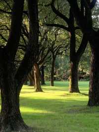 魔都隱蔽寶藏!西郊賓館免費參觀全攻略