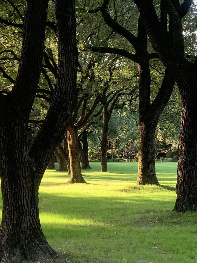 魔都隱蔽寶藏!西郊賓館免費參觀全攻略 魔都隱蔽寶藏!西郊賓館免費參觀全攻略
