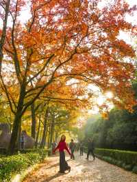 明孝陵2日遊攻略