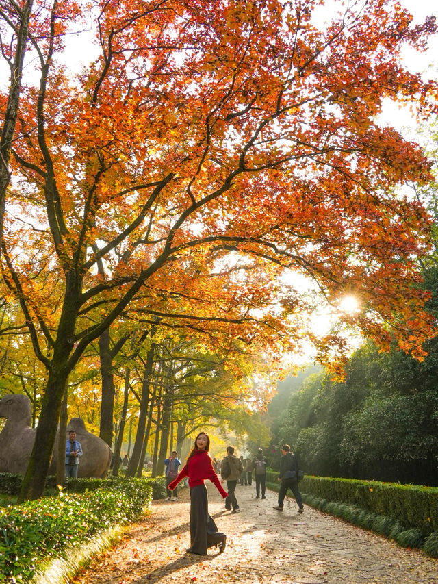 明孝陵2日遊攻略