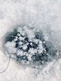 冬日徒步尋蹤野趣