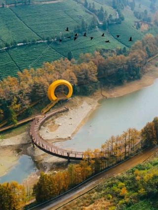 เพลิดเพลินกับการเดินเล่นชมนกริมทะเลสาบในฤดูใบไม้ร่วง