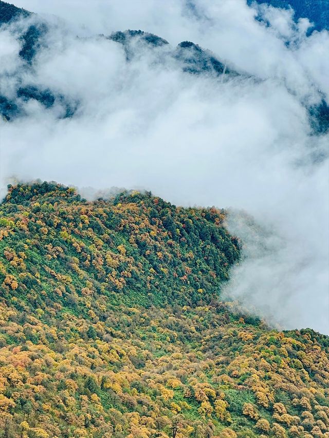 瓦屋山秋冬逃票攻略！免費期衝啊 
