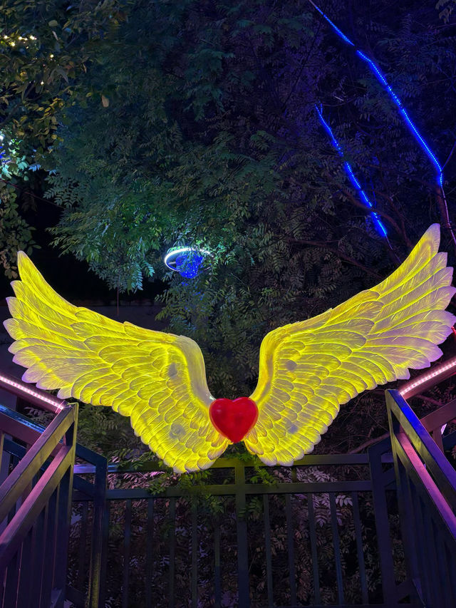 會澤夜未眠：在光影交錯處邂逅一座城的靈魂