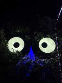 會澤夜未眠：在光影交錯處邂逅一座城的靈魂