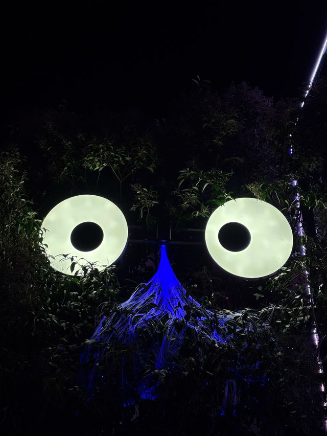 會澤夜未眠：在光影交錯處邂逅一座城的靈魂