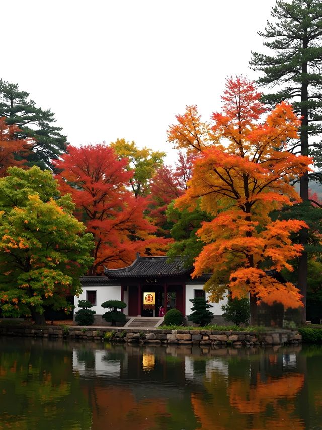 秋日限定｜雲平山私藏童話秘境小眾到喊！