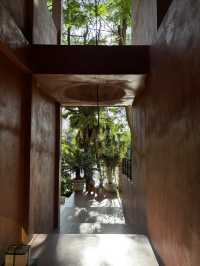 雨林野奢酒店指南