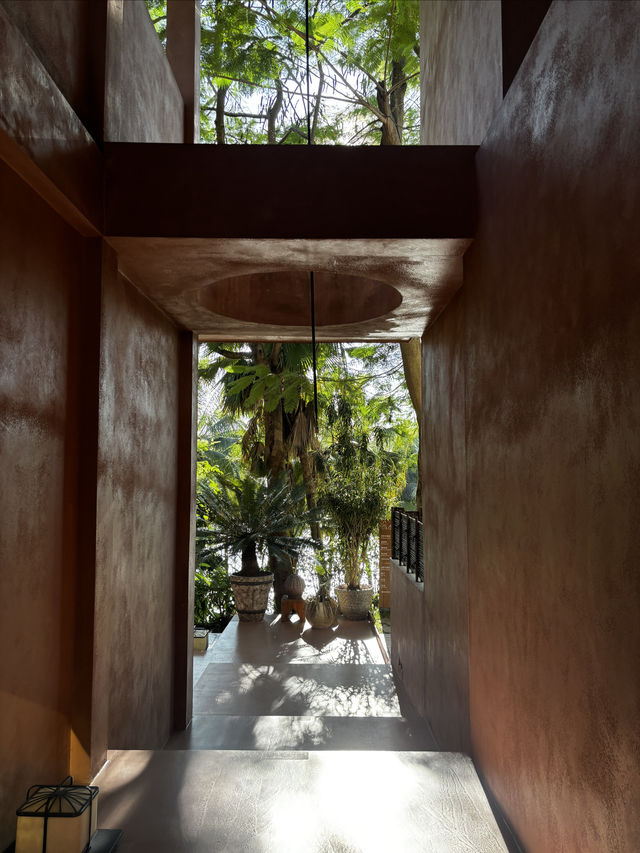雨林野奢酒店指南 雨林野奢酒店指南