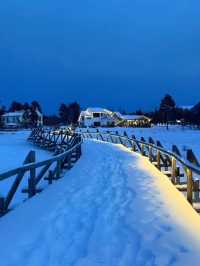 中國北極漠河｜10-4月極光機率拉滿！附人文+避坑攻略