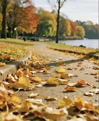 秋天的公園｜如詩如畫