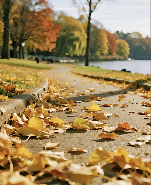 秋天的公園｜如詩如畫