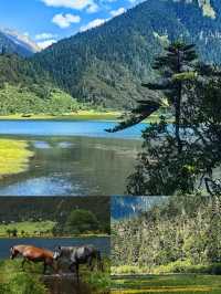 香格里拉無底湖3800米高原的藍色眼淚