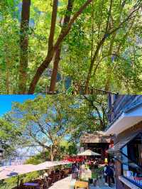 重慶秋冬citywalk天花板黃葛古道全下坡攻略！