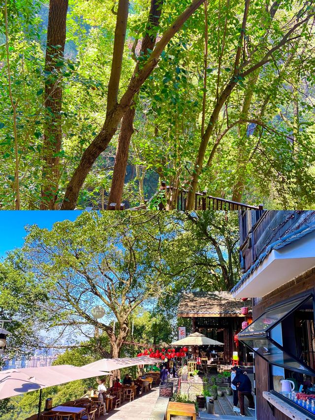 重慶秋冬citywalk天花板黃葛古道全下坡攻略！