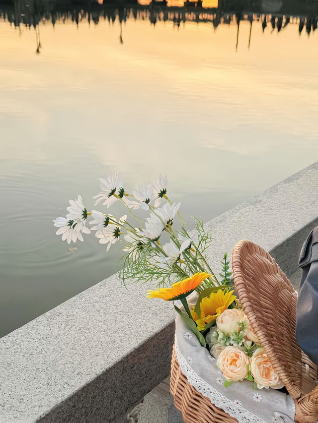 先喊一句:揭陽西湖你還有多少驚喜是我們不知道的! 先喊一句:揭陽西湖你還有多少驚喜是我們不知道的!