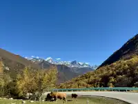 佛山秋假,帶娃去川西看不一樣的秋