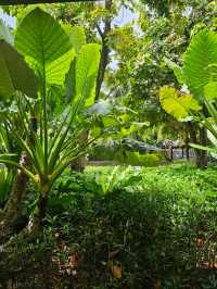 普吉島卡塔海灘的上佳選擇!