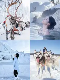 阿拉斯加冬季體驗項目怎麼選一篇講清楚