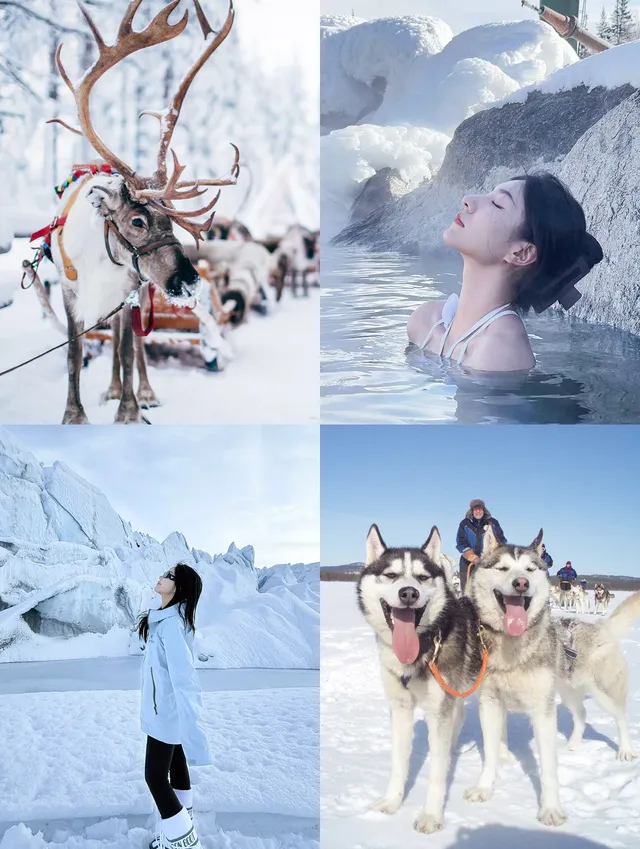 阿拉斯加冬季體驗項目怎麼選一篇講清楚 阿拉斯加冬季體驗項目怎麼選一篇講清楚