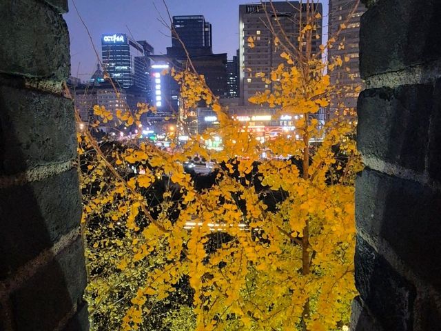 Sunset on Xian City Wall🌇