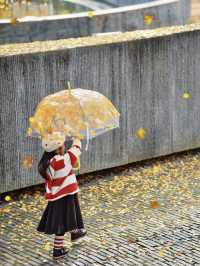 留住秋天的一百種方式