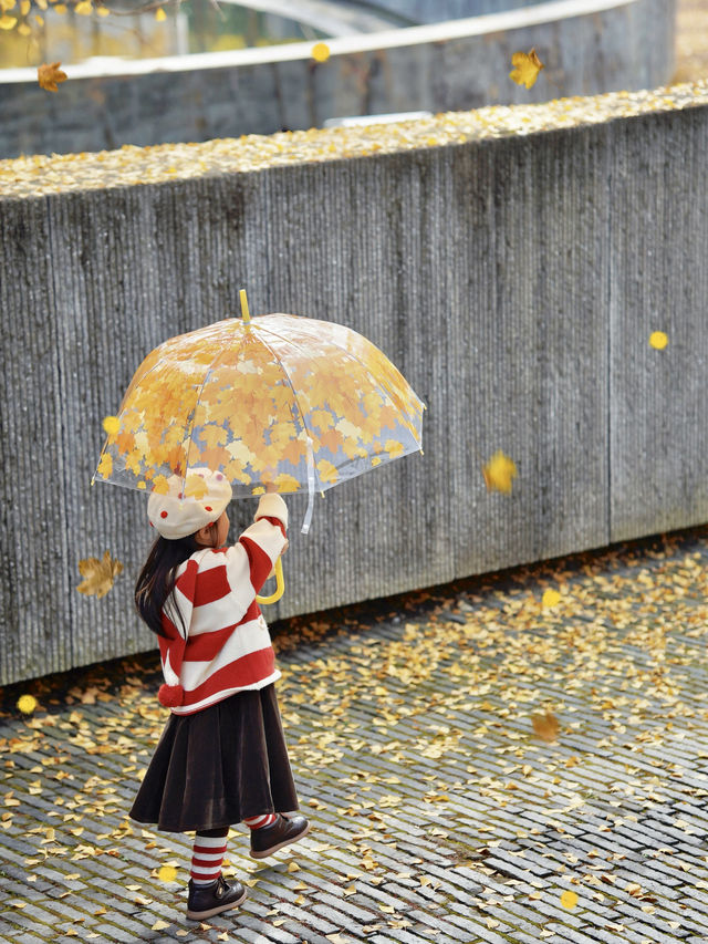 留住秋天的一百種方式