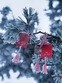 老君山雪境/純玩無購物，高速直達