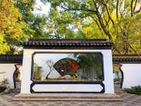 坐著11號線去看秋(上海周邊遊)