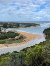 澳大利亞1日包車遊熱門景點全打卡