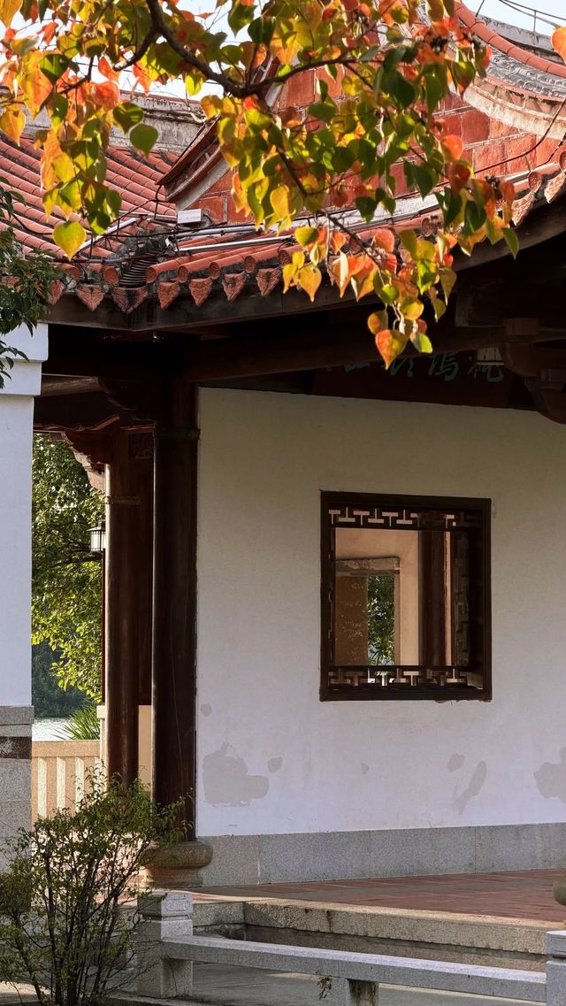 西湖邊隱秘觀景台，一些西湖的其他角度