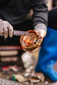 涠洲島|原來好玩好吃的都在淡季~