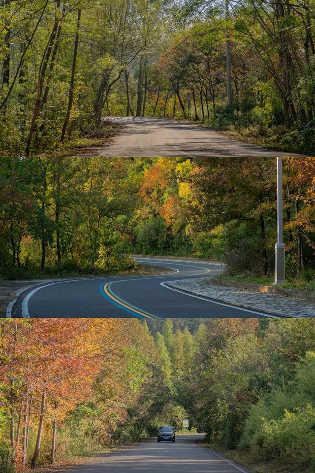 原來茅山可以開車直達山頂