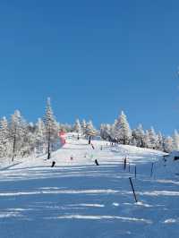 北大湖滑雪避坑指南 美景天堂≠新手友好,慎入!