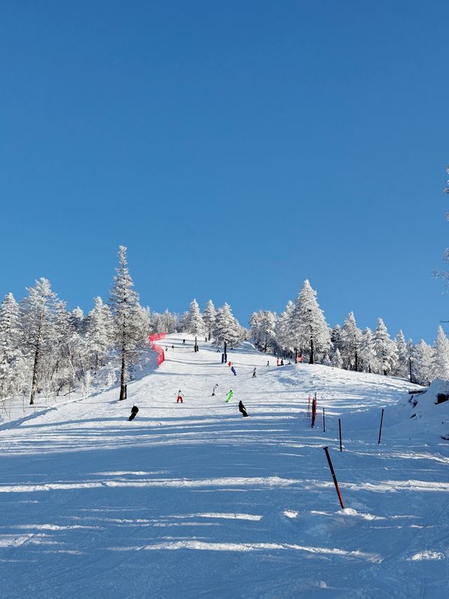 北大湖滑雪避坑指南 美景天堂≠新手友好,慎入! 北大湖滑雪避坑指南 美景天堂≠新手友好,慎入!