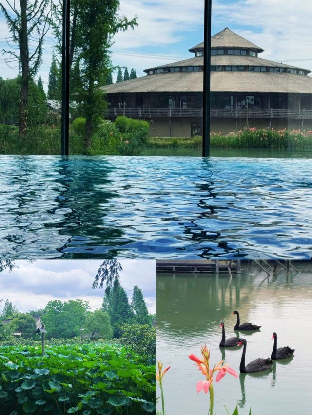 水舍同款治癒感住進烏村稻田裡 水舍同款治癒感住進烏村稻田裡